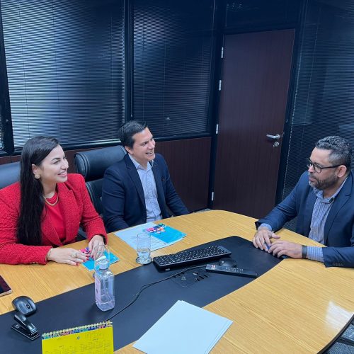 PGE e OAB discutem regulamentação para Defensores Dativos.