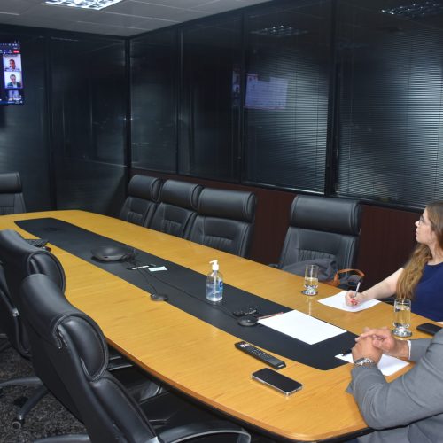 PGE/RO e PGE/SP discutem modelo de transação tributária em reunião