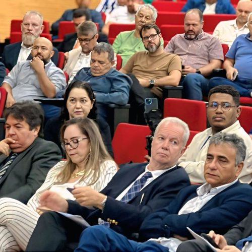 PGE-RO participa de audiência sobre embargos do IBAMA que afetam o setor produtivo de Rondônia.