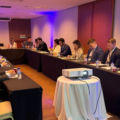 PGE/RO participa da 2ª Reunião Ordinária da Plenária da RENAGEI