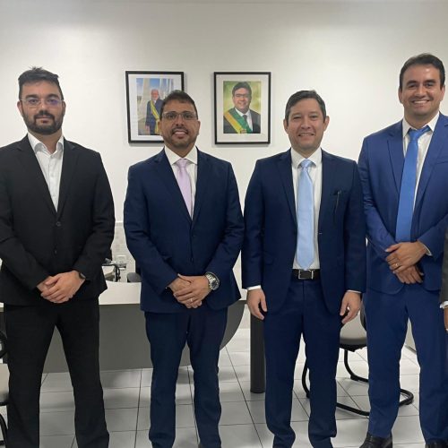 PGE/RO reúne-se com PGE/PI visando avanços no convênio da disponibilização do Kanoê