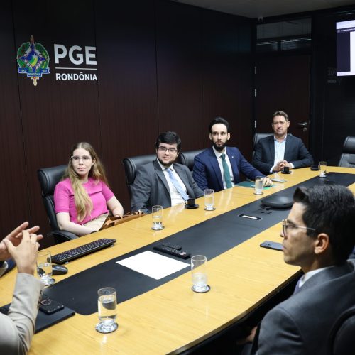 PGE/RO conduz reunião sobre o volume de tramitação de processos nas diretorias judiciais no ano de 2024.