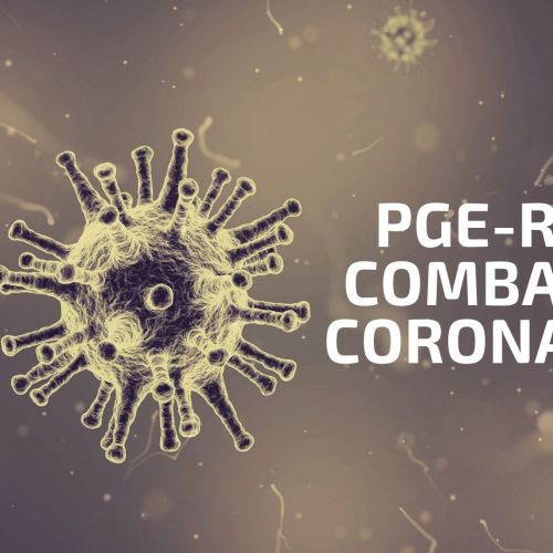 Compreenda a importância das atividades exercidas pela Procuradoria Geral do Estado durante a pandemia