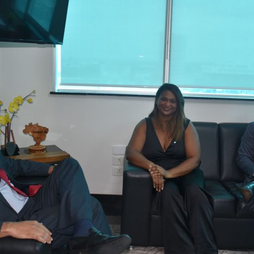 PGE/RO recebe visita da Presidente da Comissão do Meio Ambiente da OAB