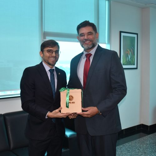 PGE/RO recebe visita institucional da DPE/RO